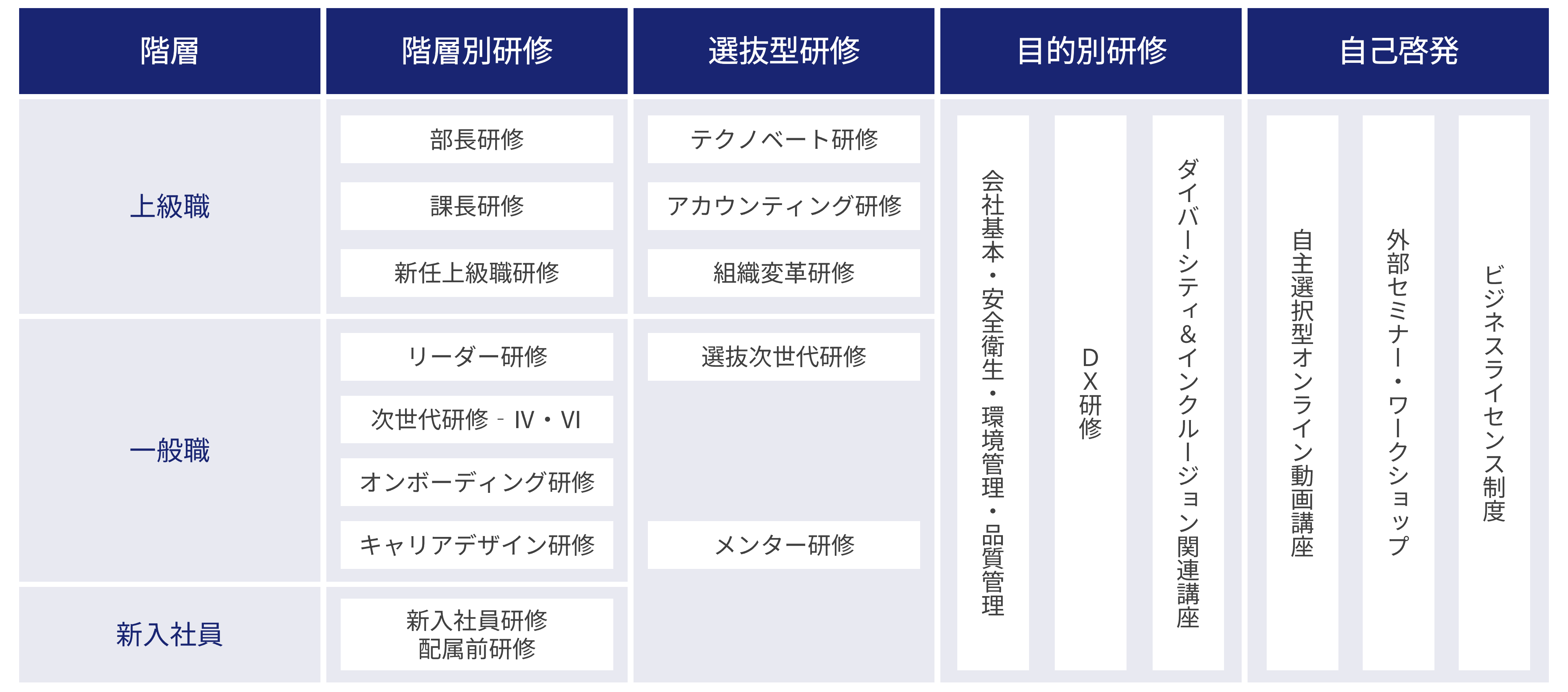 教育体系